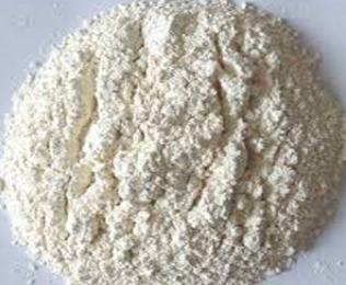 Dehydrated Onion Powder