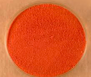 Dehydrated Tomato Powder